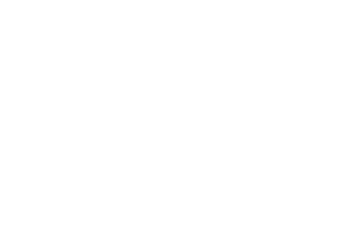 The Chocolate Line