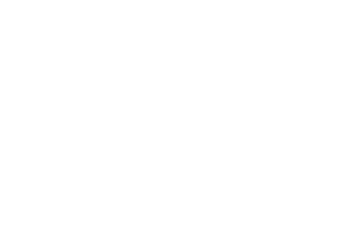 Louis Widmer
